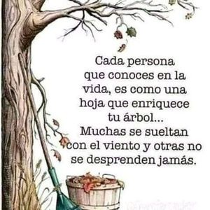 Meet your Posher, Freddy